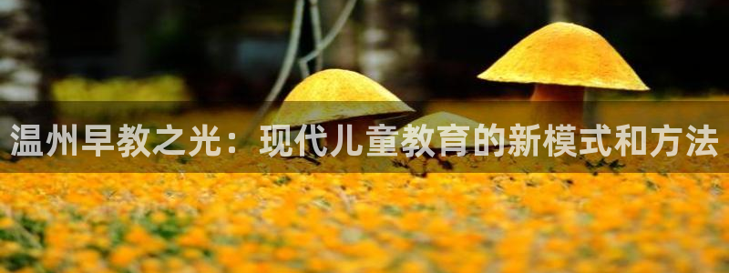 恒行2冯74OOO5:温州早教之光:现代儿童教育的新模式和方法