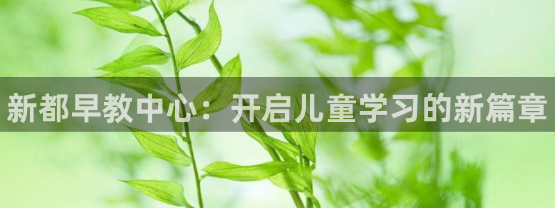 恒行注册全2O5O5O:新都早教中心:开启儿童学习的新篇章