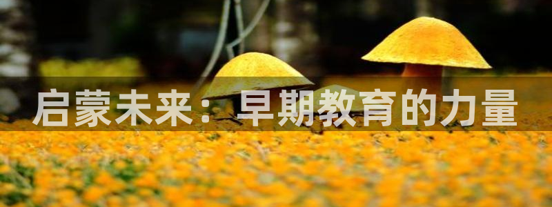 恒行2那74OOO5：启蒙未来：早期教育的力量