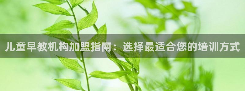 恒行娱乐卫74OOO5:儿童早教机构加盟指南:选择最适合您的培训方式