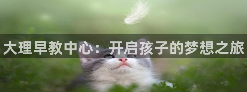 恒行娱乐掏沂74ooo5弛:大理早教中心:开启孩子的梦想之旅