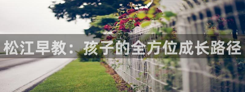 恒行2尤74OOO5：松江早教：孩子的全方位成长路径