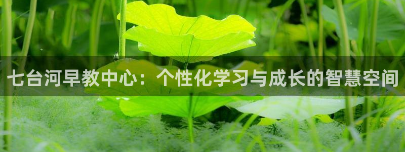 恒行娱乐5ll533主管正直：七台河早教中心：个性化学习与成长的智慧空间