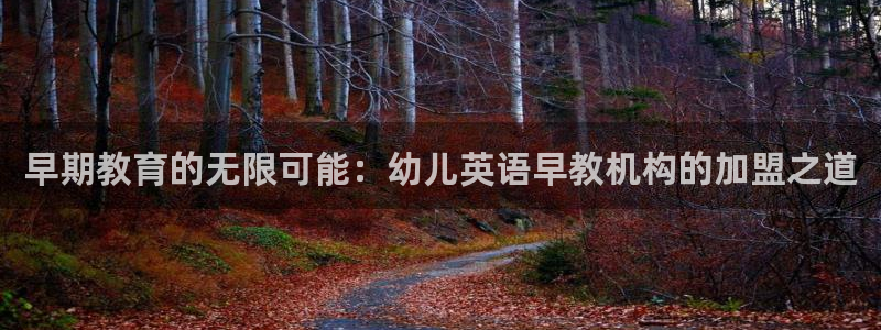 恒行2褚74OOO5：早期教育的无限可能：幼儿英语早教机构的加盟之道