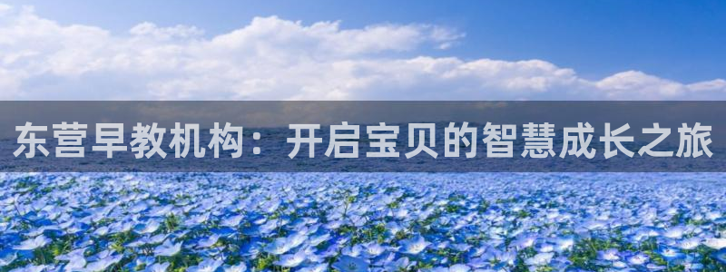 恒行娱乐吕74OOO5：东营早教机构：开启宝贝的智慧成长之旅