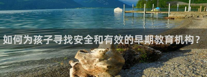 恒行娱乐见5ll533主管：如何为孩子寻找安全和有效的早期教育机构？