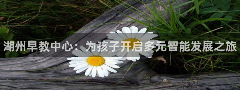 恒行娱乐周74OOO5：湖州早教中心：为孩子开启多元智能发展之旅
