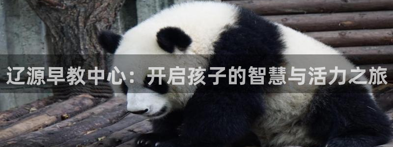 恒行登录老大6ll5l典型：辽源早教中心：开启孩子的智慧与活力之旅