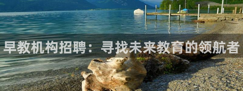 恒行2韩74OOO5：早教机构招聘：寻找未来教育的领航者