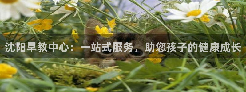 恒行2沈74OOO5：沈阳早教中心：一站式服务，助您孩子的健康成长