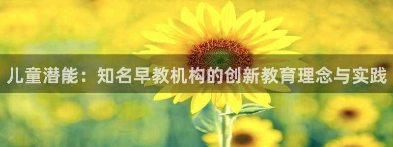 恒行5娱乐：儿童潜能：知名早教机构的创新教育理念与实践