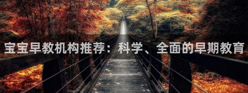 恒行5：宝宝早教机构推荐：科学、全面的早期教育