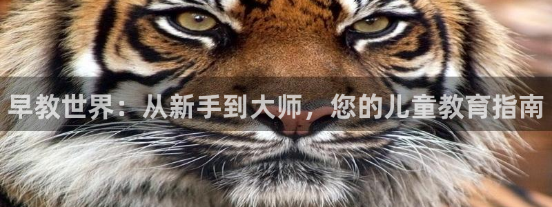 恒行代理总代主导 6ll5l：早教世界：从新手到大师，您的儿童教育指南