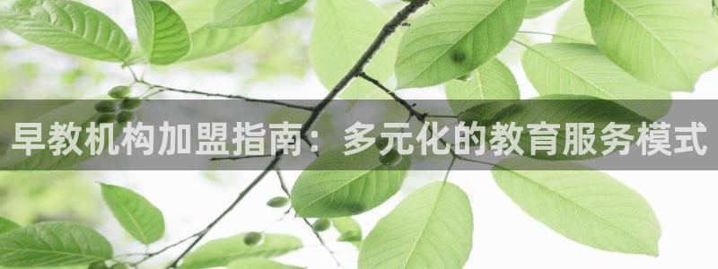 恒行娱乐热74ooo5主宰：早教机构加盟指南：多元化的教育服务模式