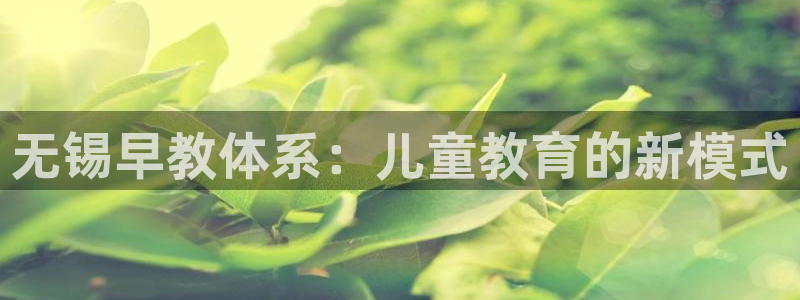 恒行代理总代主导 6ll5l：无锡早教体系：儿童教育的新模式