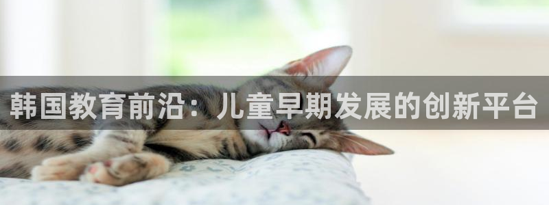 恒行娱乐蜗74ooo5指磁：韩国教育前沿：儿童早期发展的创新平台