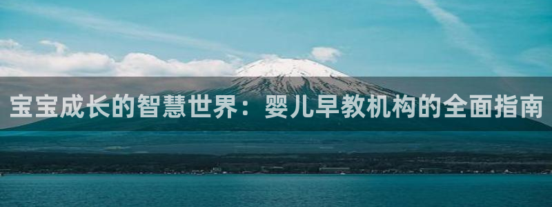 恒行2褚74OOO5：宝宝成长的智慧世界：婴儿早教机构的全面指南