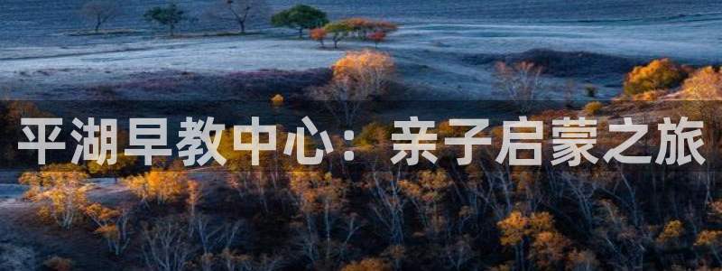 恒行2乃5O6917：平湖早教中心：亲子启蒙之旅