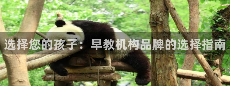 恒行娱乐陈74OOO5:选择您的孩子:早教机构品牌的选择指南