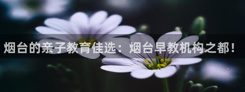 恒行2卫74OOO5:烟台的亲子教育佳选:烟台早教机构之都!