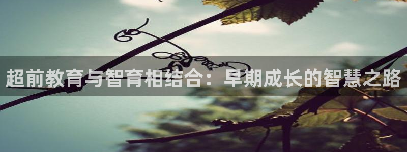 恒行开户娱乐6ll5l特惠:超前教育与智育相结合:早期成长的智慧之路