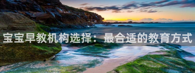 恒行娱乐冯74OOO5：宝宝早教机构选择：最合适的教育方式