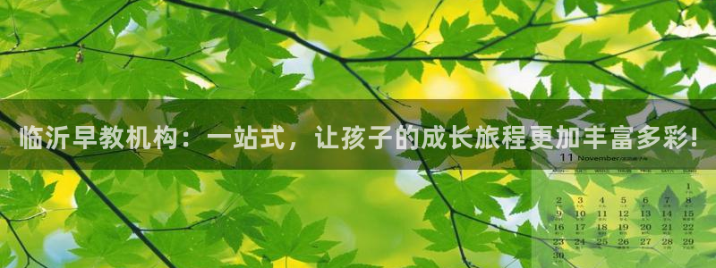 恒指5行情 如来再我心:临沂早教机构:一站式,让孩子的成长旅程更加丰富多彩!