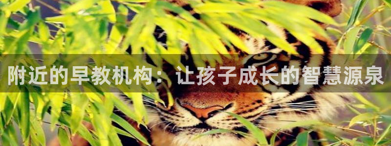 恒行娱乐掏沂74ooo5弛：附近的早教机构：让孩子成长的智慧源泉