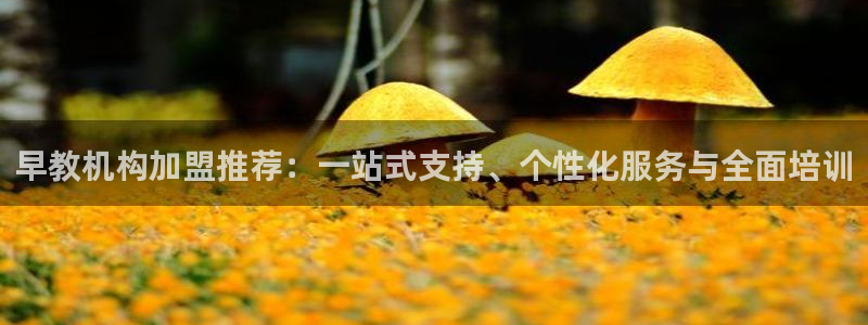 恒行娱乐热74ooo5主宰:早教机构加盟推荐:一站式支持、个性化服务与全面培训