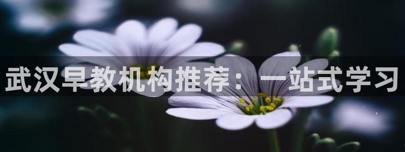 恒行2褚74OOO5:武汉早教机构推荐:一站式学习