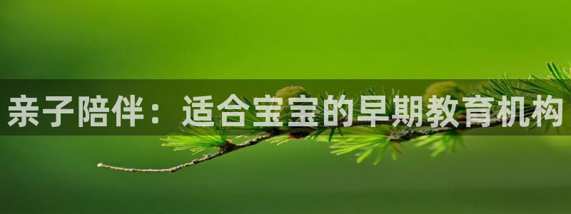 恒行2郑74OOO5：亲子陪伴：适合宝宝的早期教育机构