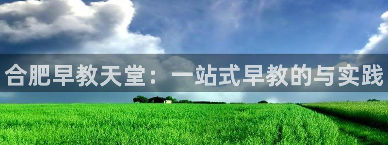 恒行2褚74OOO5：合肥早教天堂：一站式早教的与实践