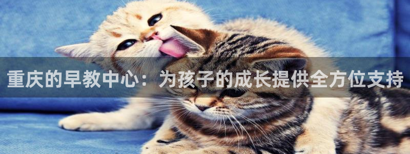恒行2吴74OOO5：重庆的早教中心：为孩子的成长提供全方位支持
